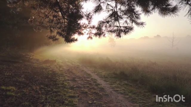 раслабляющая музыка для отдыха и сна.? смотреть онлайн