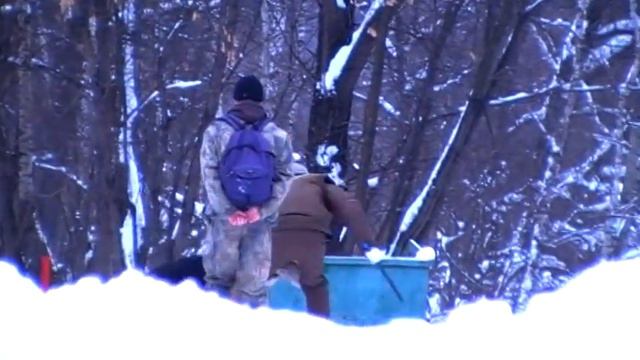 зкс смотреть онлайн