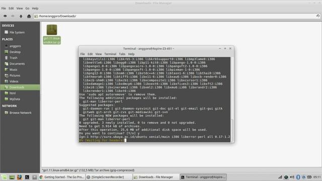 How to Install GOLANG on Linux Mint смотреть онлайн