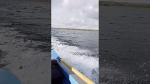 обь м с мотором микацу 20 сил 4 такта инжектор