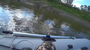 Трофейная рыбалка с лодкой Фрегат 350 FM Light и мотор FREGAT T9.9BMS!