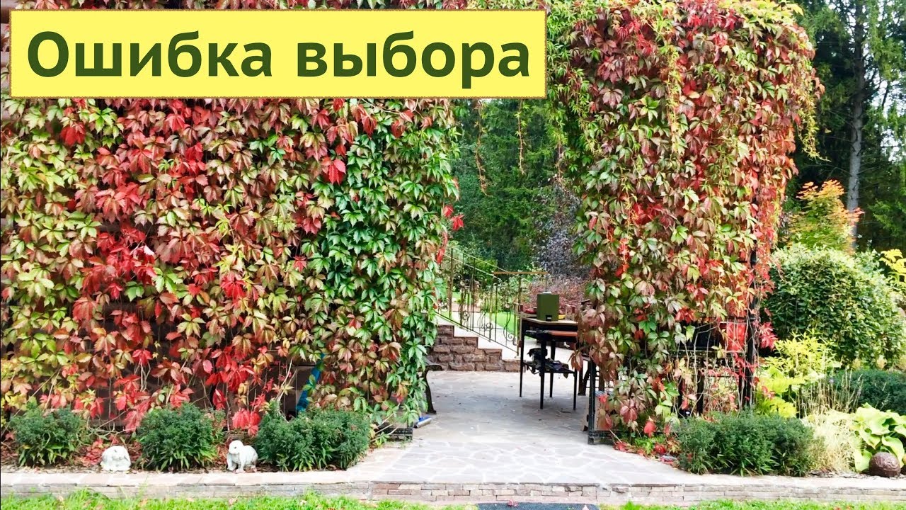 ВЫБОР КАМНЯ ДЛЯ МОЩЕНИЯ И ОБЛИЦОВКИ. МОЩЕНИЕ В БЕСЕДКЕ И ПАРТЕРНОЙ ЗОНЕ. ЛЕМЕЗИТ.