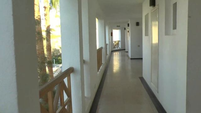 Domina Coral Bay Elisir 5*/Египет/Шарм-Эль-Шейх(обзор)