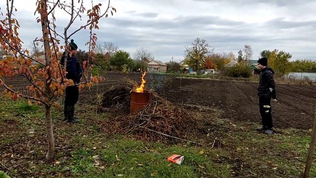 228?#переезднаюг/Во саду ли, в огороде/мышка/Посадили шарафугу