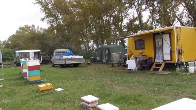 Вторая качка мёда. Хакасия. смотреть онлайн