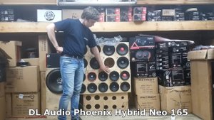 Сравнение DL Audio Phoenix Hybrid Neo 165 vs Pride Solo v2