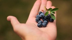 Ясный ум будет даже в 90 | Ешь и умней | ТОП 7 полезных продуктов для мозга