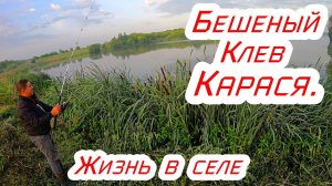 Бешеный клев карася,жизнь в селе.