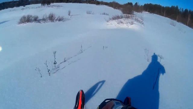 Устьянские бобры смотреть онлайн