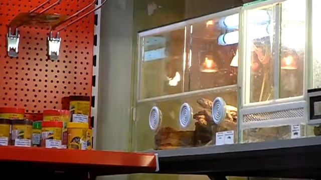 Апачо и отражение смотреть онлайн