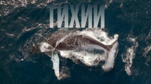Тихий 2