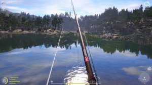 Русская рыбалка 4. Озеро Куори место на ерша, пелядь и густеру. Маховое РР4 2023 в 4K