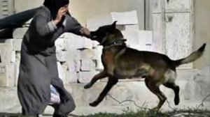 Сами Юсуф май умма