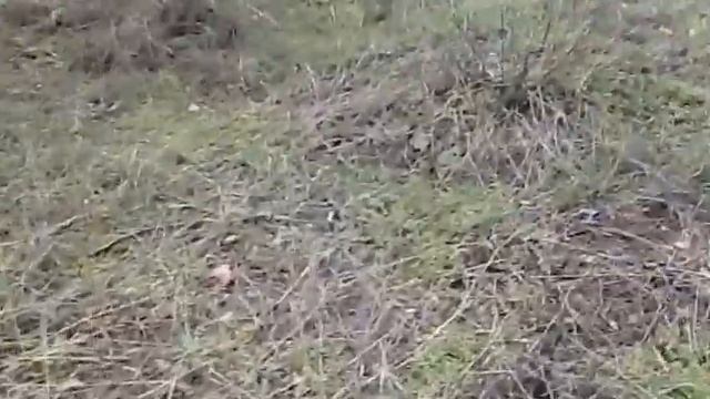 28 марта/Александров день/ смотреть онлайн