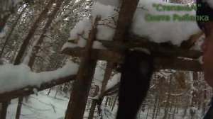 СТЕПАНЫЧ Охота Рыбалка (Трекер) "Промысел".