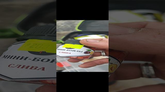 старобешево ДНР
