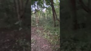 Hisun Strike 250