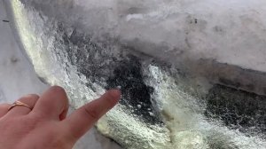 ПУДЕЛЬ/ПЕРВЫЙ ГРУМИНГ ЩЕНКА/ ДО/ПОСЛЕ УХОД ЗА ПУДЕЛЕМ