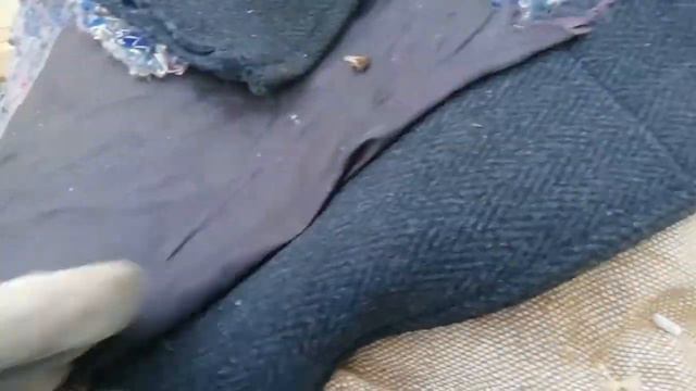 Первый осмотр пчёл на улице. Как проходит зимовка. смотреть онлайн