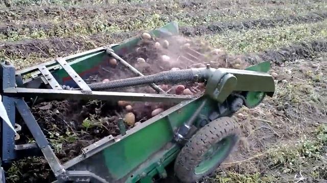 Работа модернизированной картофелекопалки