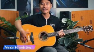 TransAcoustic yamaha LL-TA (Review đàn Guitar yamaha)