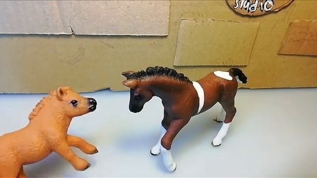 ?Horse-show? 3-СЕЗОН 10-ВЫПУСК (ИСЛАНДСКАЯ ЛОШАДЬ) смотреть онлайн