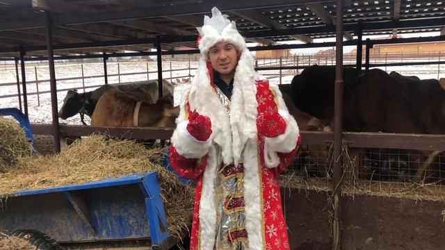 Жизнь и отдых в деревне лучше чем в городе? Философия недостаточности и внутреннего счастья!
