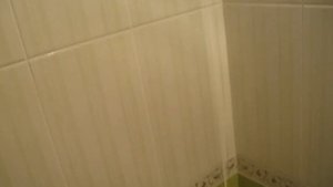 Плиткурс. Обучение плиточника. Фрагмент - обучающего видеокурса по укладке плитки своими руками