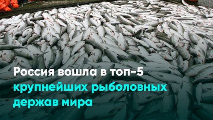Россия вошла в топ-5 крупнейших рыболовных держав мира