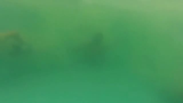 Парное 2012 HD смотреть онлайн