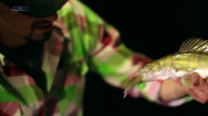 "В ритме города" Андрей Старков. (StreetFishing)