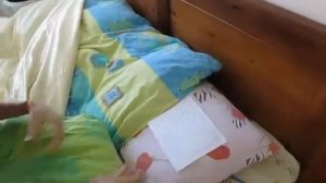 Как стать настоящей феей ?