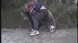 Борьба с медведем - медведь на туше / Wrestling with a bear - bear put on touch