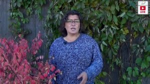 Многолетние цветы для тяжелых грунтов ( глины и тяжелые суглинки)