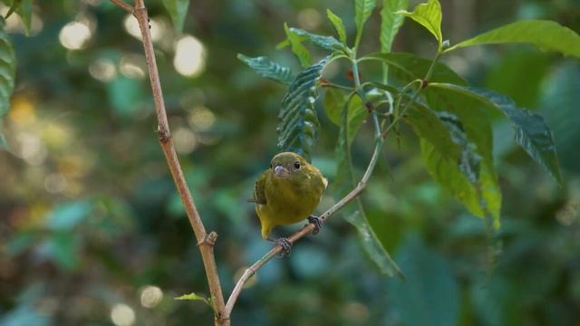 Музыка помогает забыть об усталости, сосредоточиться на работе, успокоить внутреннюю боль #4 смотреть онлайн
