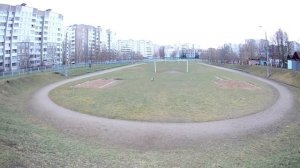 Миттельшнауцер Тара и Puller