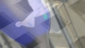 Искусственная птица