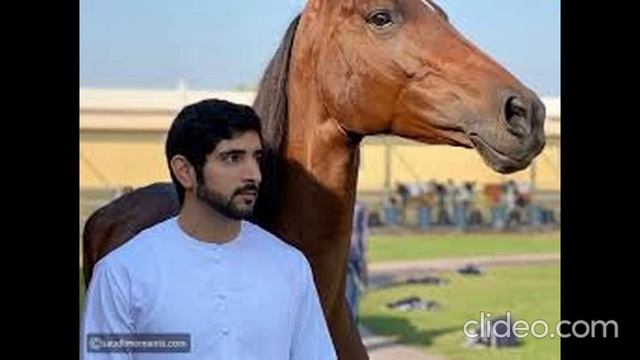 Love Is a Feeling | Sheikh Hamdan’s poem (فزاع sheikh Hamdan) crown prince of dubai #fazza