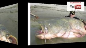 Рыбалка в Сибири. Сибирская рыбалка.