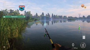 Fishing Planet Карпы от мала до велика C'mon, Carp