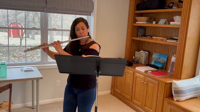 Fly Me to the Moon - Jazz Flute Solo смотреть онлайн