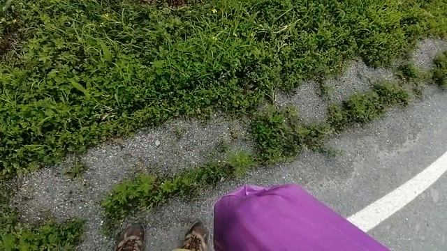 Самая смертельно опасная змея Дальнего Востока России Тигровый уж. смотреть онлайн