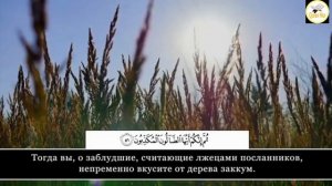 СУРА 56."АЛЬ-ВАКИЯ" АЛЛАХ НАГРАДИТ СПОКОЙСТВИЕМ, БОГАТСТВОМ  И БЛАГАМИ И ЗАЩИТИТ ОТ НИЩЕТЫ ИНШААЛЛА