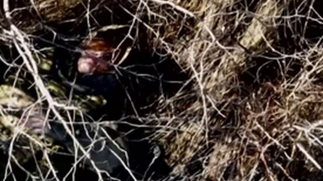 «Брошена и забыта»: Русские бойцы спасли раненую украинку