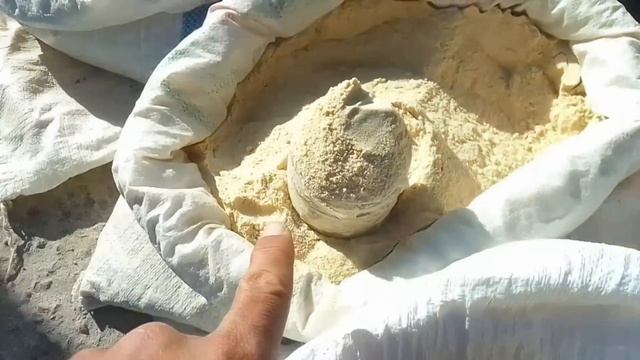 12 Ноябр 2023 Шымбай Дийхан базары балык базары бахалары/Каракалпакстан /Шымбай малбазар