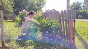Простая и лучшая опора для ПИОНОВ! Создаём уютный сад, огород