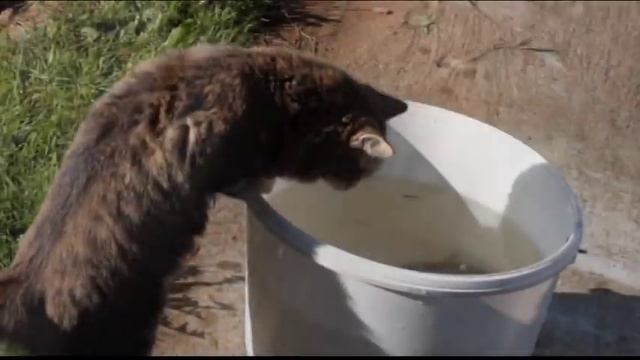 Сдаём дом с баней на берегу. Часть 2. Весна-осень. смотреть онлайн