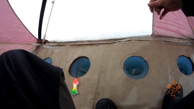 Три апрельских дня рыбалки в палатке. Яузское водохранилище рулит!