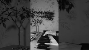 Коста Лакоста и Лолита￼ - По-другому – кавер ￼
