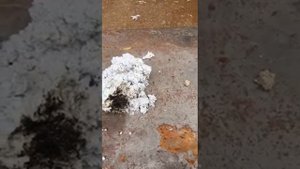 Эковата из Картона